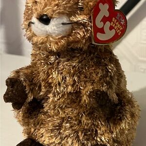 Ty Beanie Baby PUNXSUTAWN-E PHIL Groundhog 6" Stuffed Animal Plush Toy
